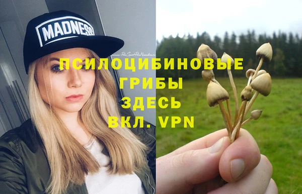 трава Нея