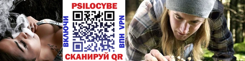 Псилоцибиновые грибы Psilocybine cubensis  MEGA как зайти  Ессентукская 